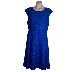 Brixon Ivy Blue Lace Short Sleeve Dress sz 14